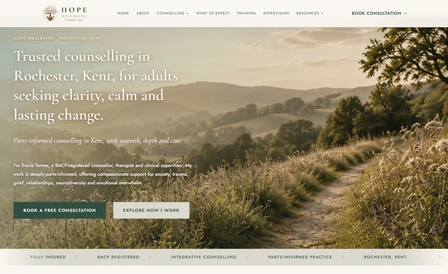 Hope Wellbeing homepage with inspectable design decisions